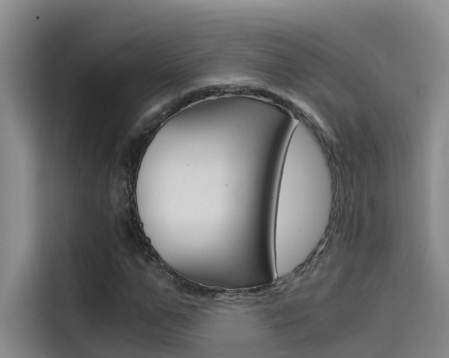 X0000114590967200910191031