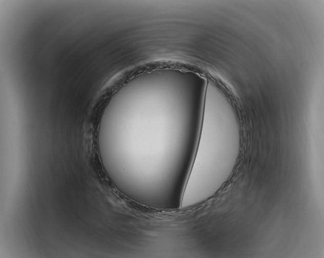 X0000114590968200910191031