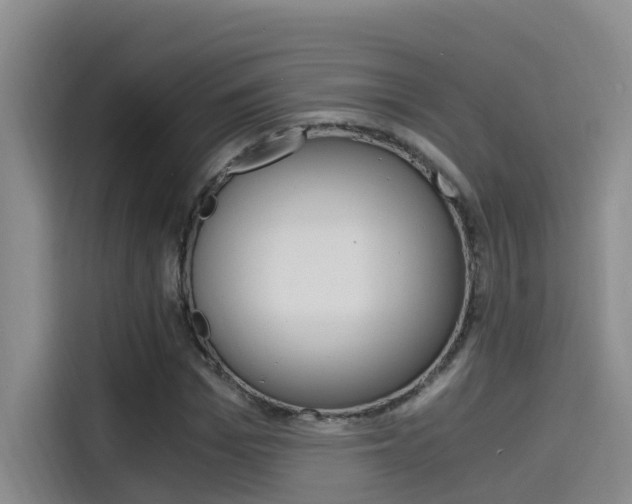 X0000114590969200910191031