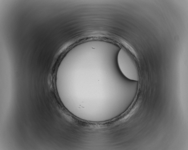 X0000114590970200910191031