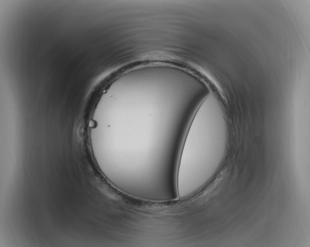 X0000114590971200910191031