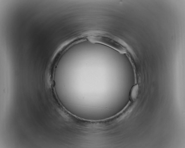 X0000114590973200910191031
