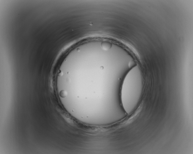 X0000114590974200910191031