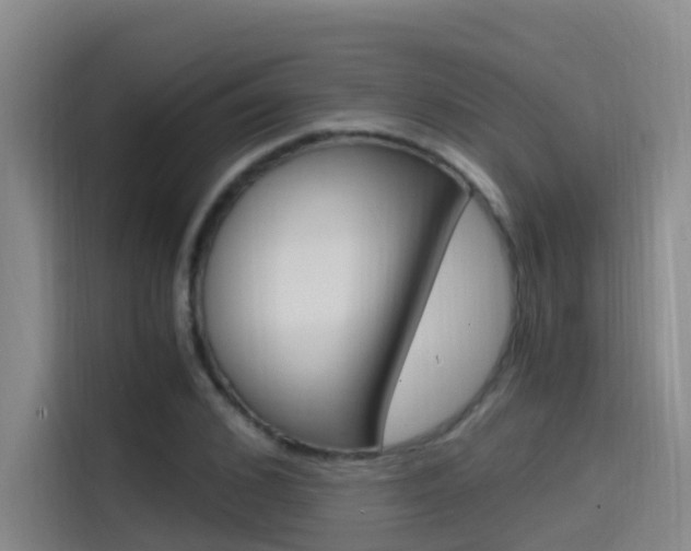 X0000114590976200910191030