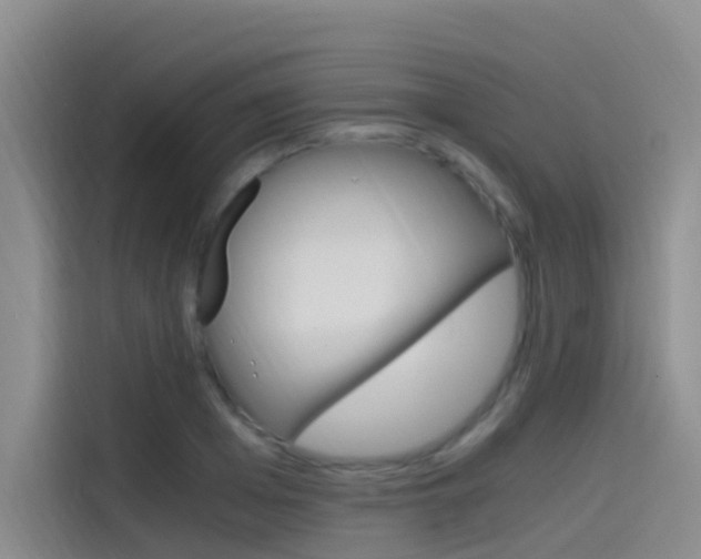 X0000114590985200910191030