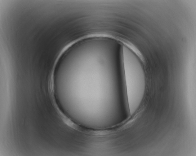 X0000114590988200910191030
