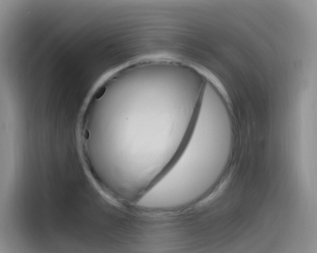 X0000114590989200910191030