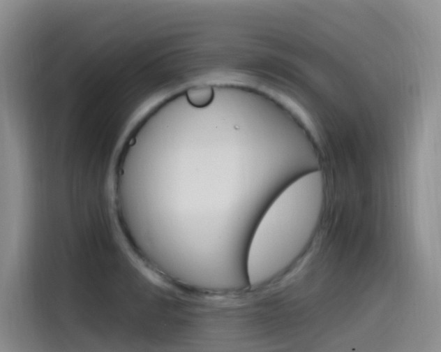 X0000114590990200910191030
