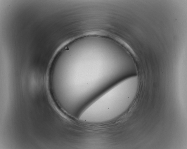 X0000114590991200910191030