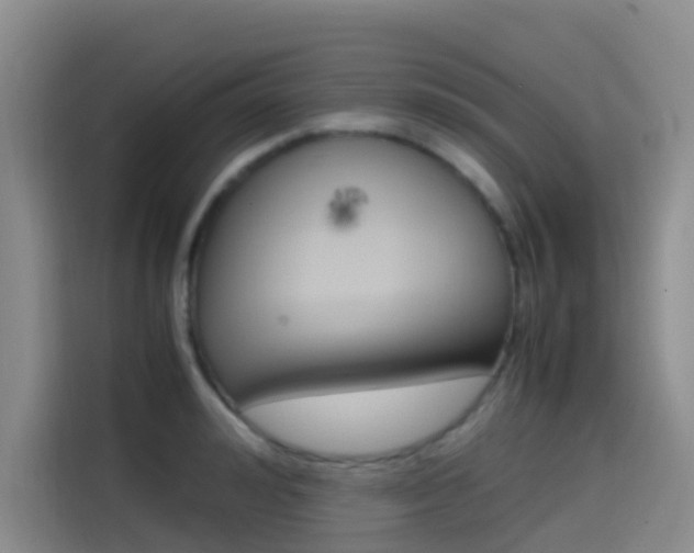 X0000114590992200910191030