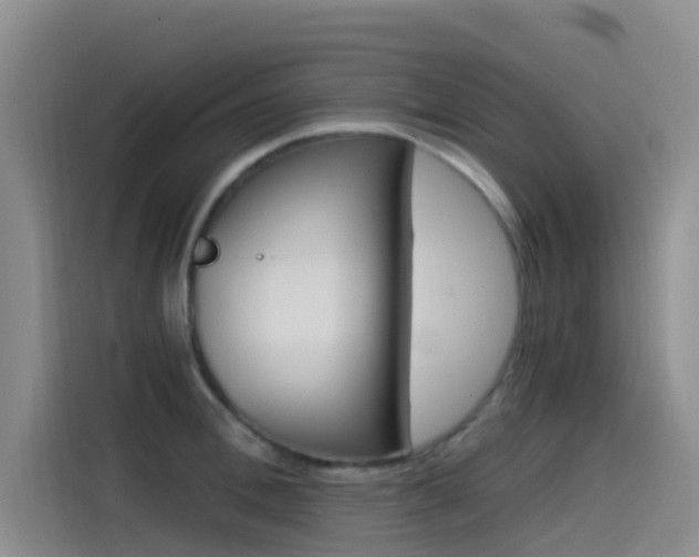 X0000114590996200910191030