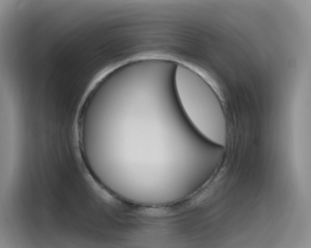X0000114590998200910191030