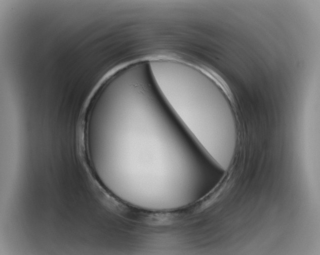 X0000114591000200910191030
