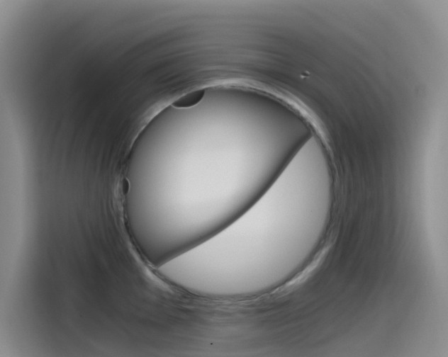 X0000114591001200910191030