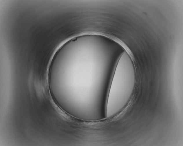 X0000114591004200910191030