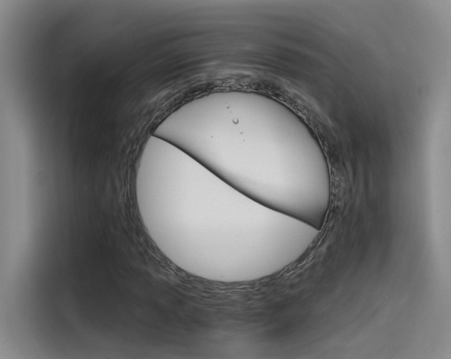 X0000114591013200910191029