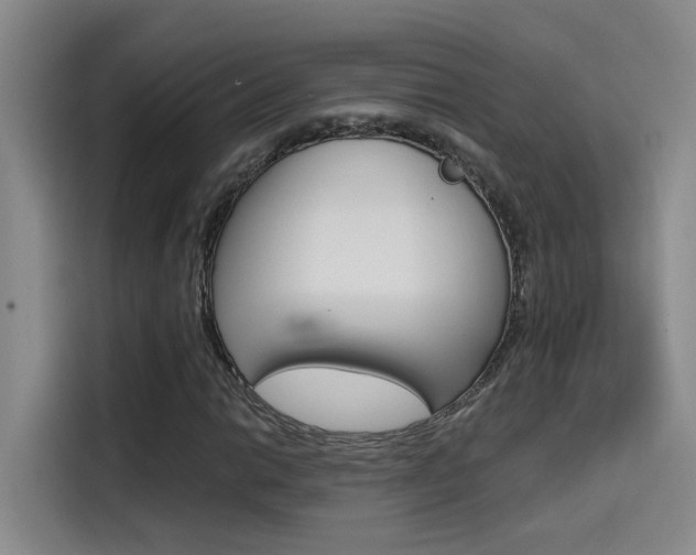 X0000114591014200910191030