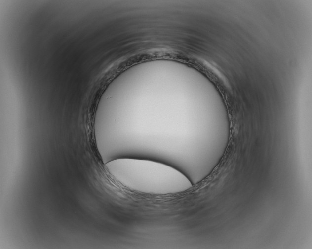X0000114591015200910191030