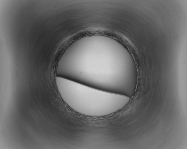 X0000114591016200910191030