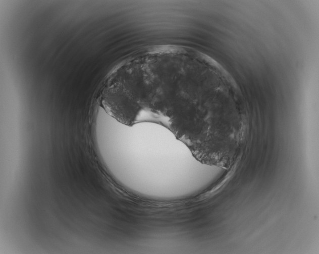 X0000114591017200910191030