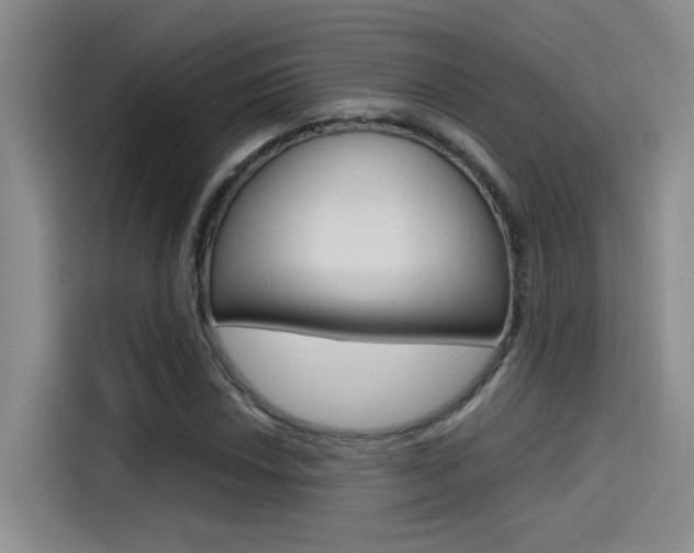 X0000114591018200910191030