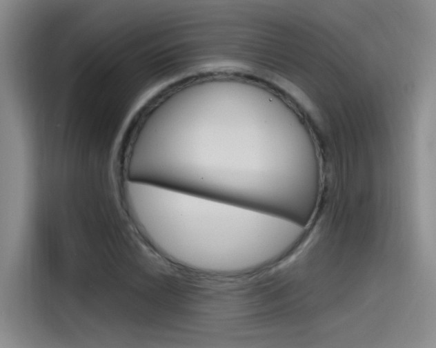 X0000114591022200910191030