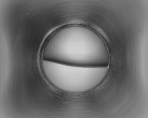 X0000114591024200910191030
