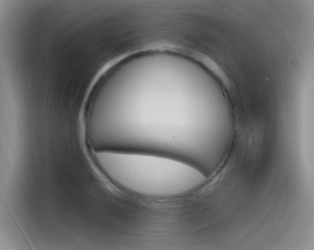 X0000114591032200910191030