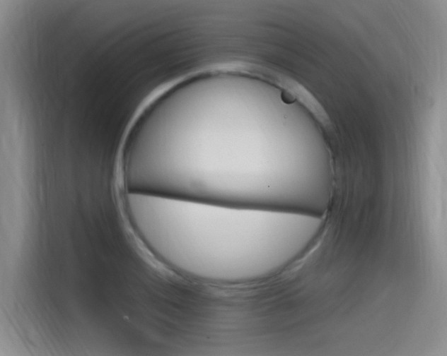 X0000114591036200910191030