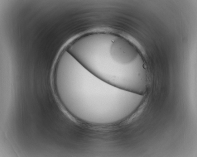 X0000114591037200910191030
