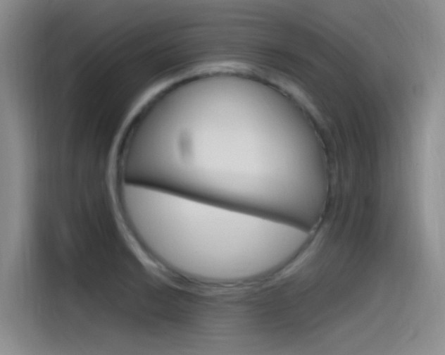 X0000114591038200910191030