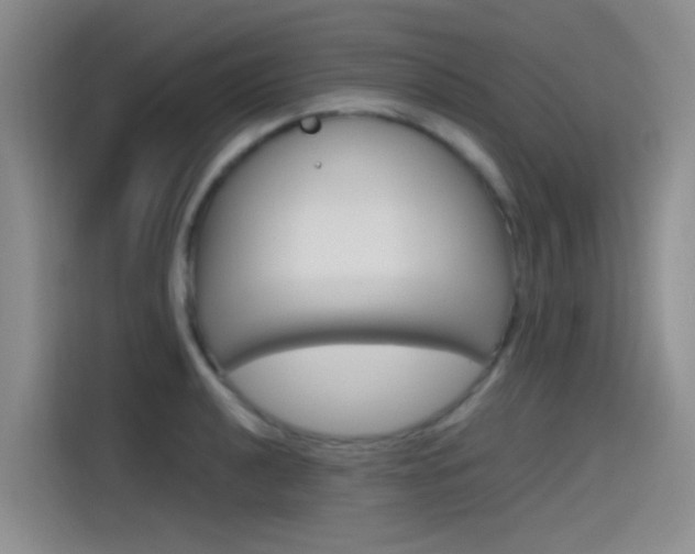 X0000114591040200910191030