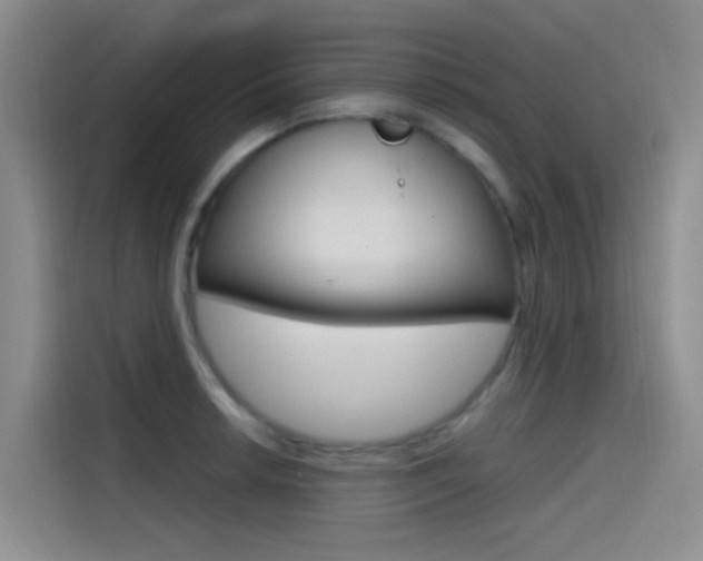 X0000114591042200910191030