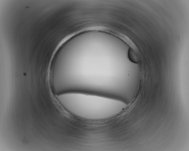 X0000114591044200910191030
