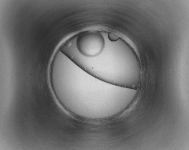X0000114591045200910191030