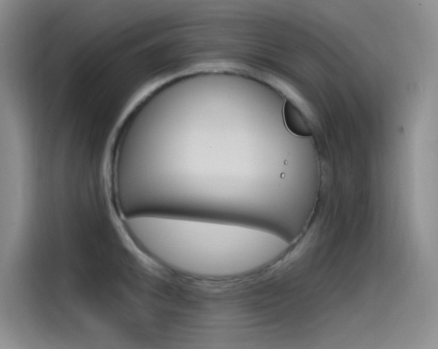 X0000114591046200910191030