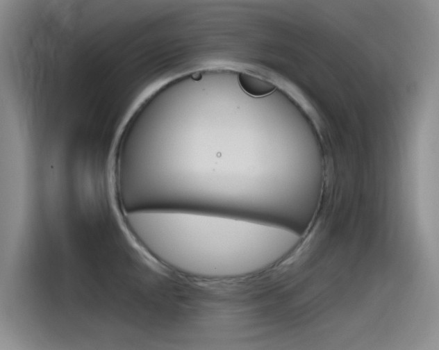 X0000114591048200910191030