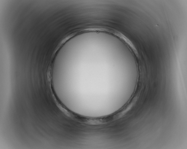 X0000114591049200910191030