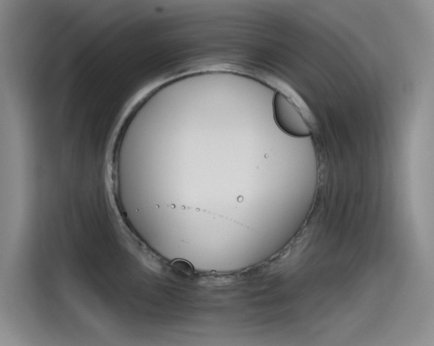 X0000114591051200910191030