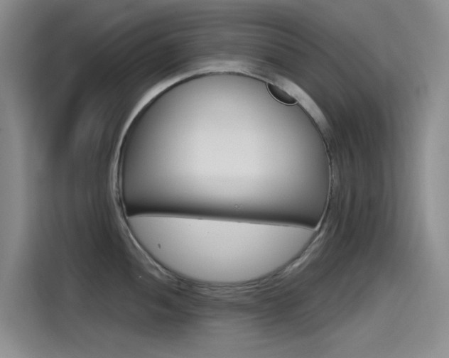 X0000114591052200910191030