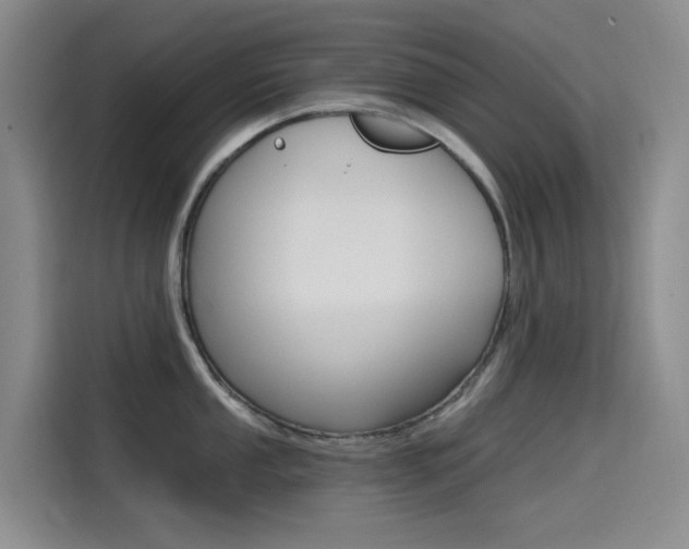 X0000114591053200910191030