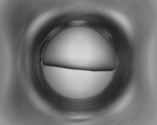 X0000114591054200910191030