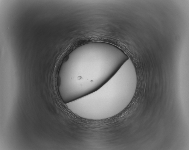 X0000114591057200910191029