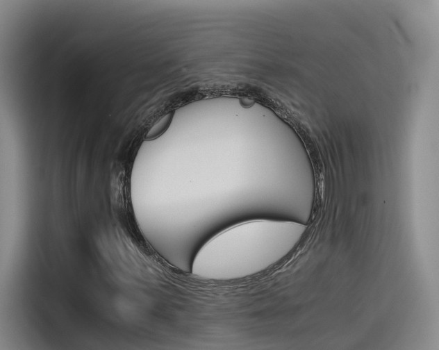 X0000114591059200910191029