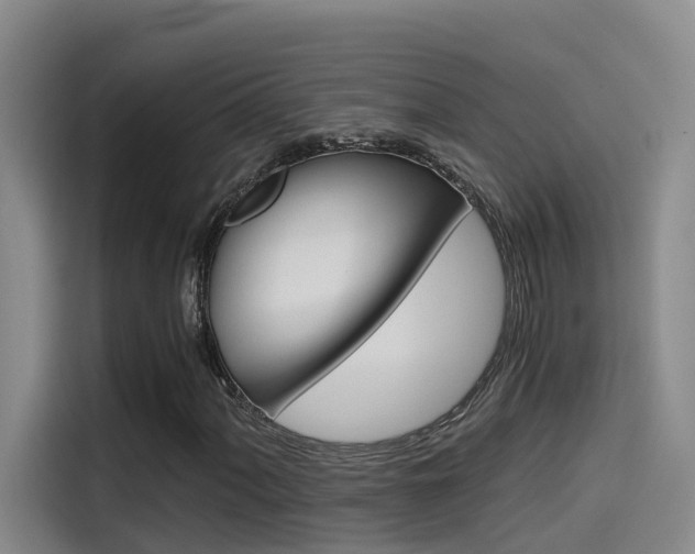 X0000114591060200910191029