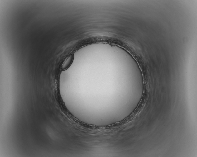 X0000114591061200910191029