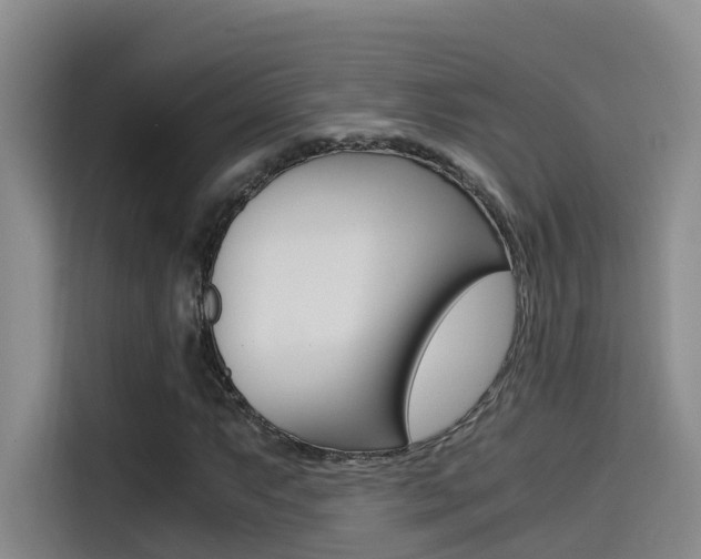 X0000114591063200910191029