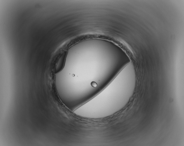 X0000114591064200910191029