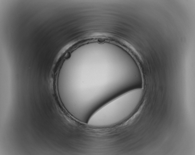 X0000114591066200910191029
