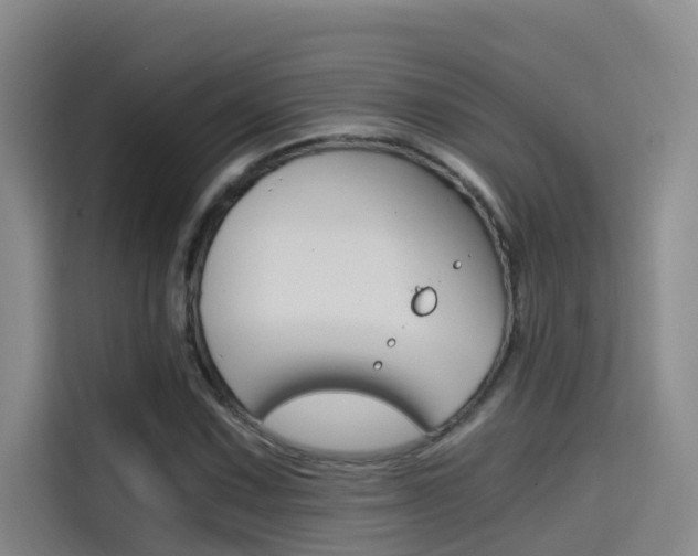 X0000114591067200910191029